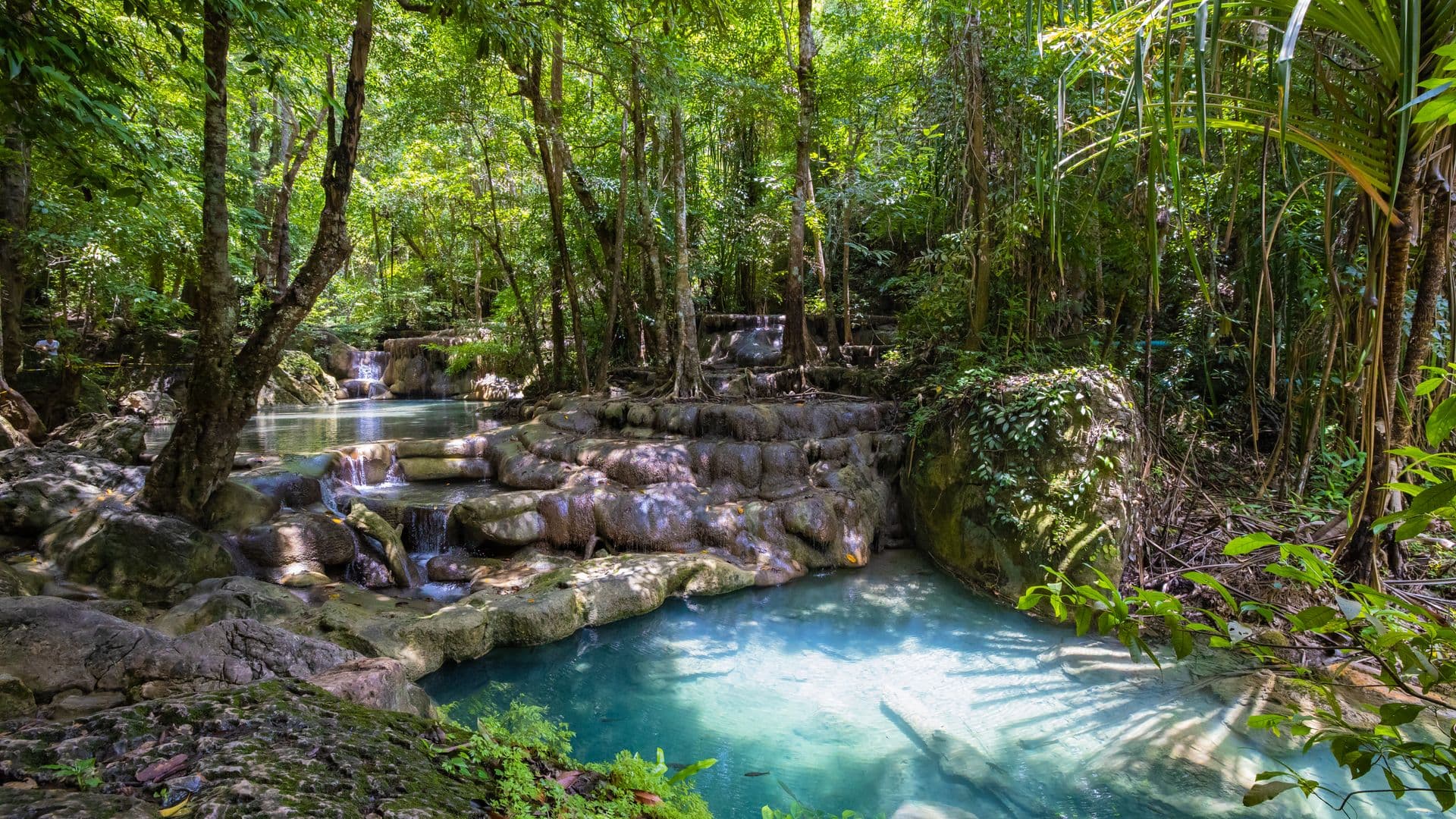 Forêt tropicale et cascade à Basse-Terre, Guadeloupe