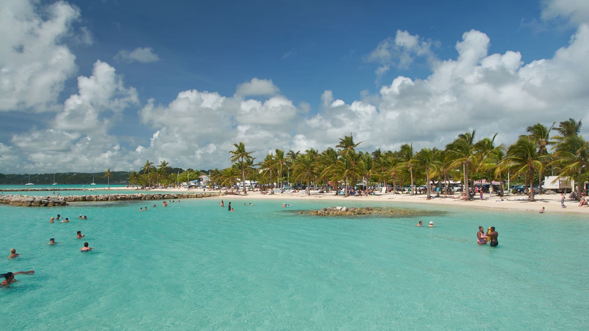 Plage bordée de cocotiers et eaux turquoise en Guadeloupe